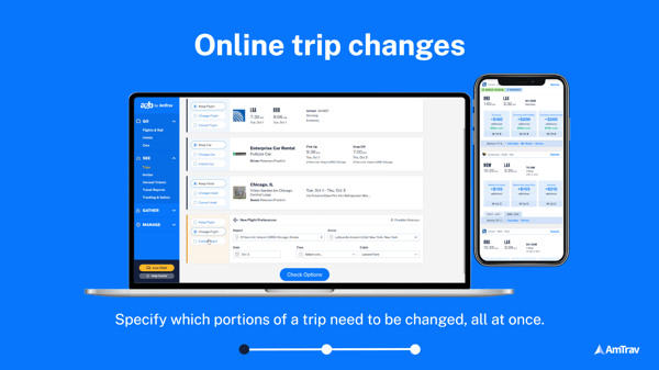 Online trip changes webinar slide